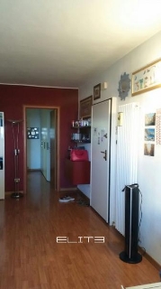 zoom immagine (Appartamento 55 mq, 1 camera, zona Pinocchio)