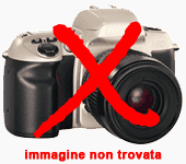 zoom immagine (ALFA ROMEO Stelvio 2.2 T.d. 160CV AT8 RWD Sprint)